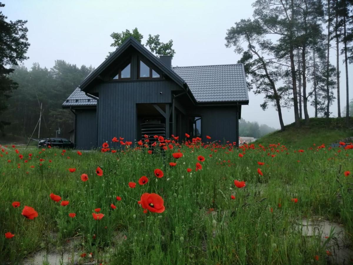 ApartmentApšuciems Dış mekan fotoğraf