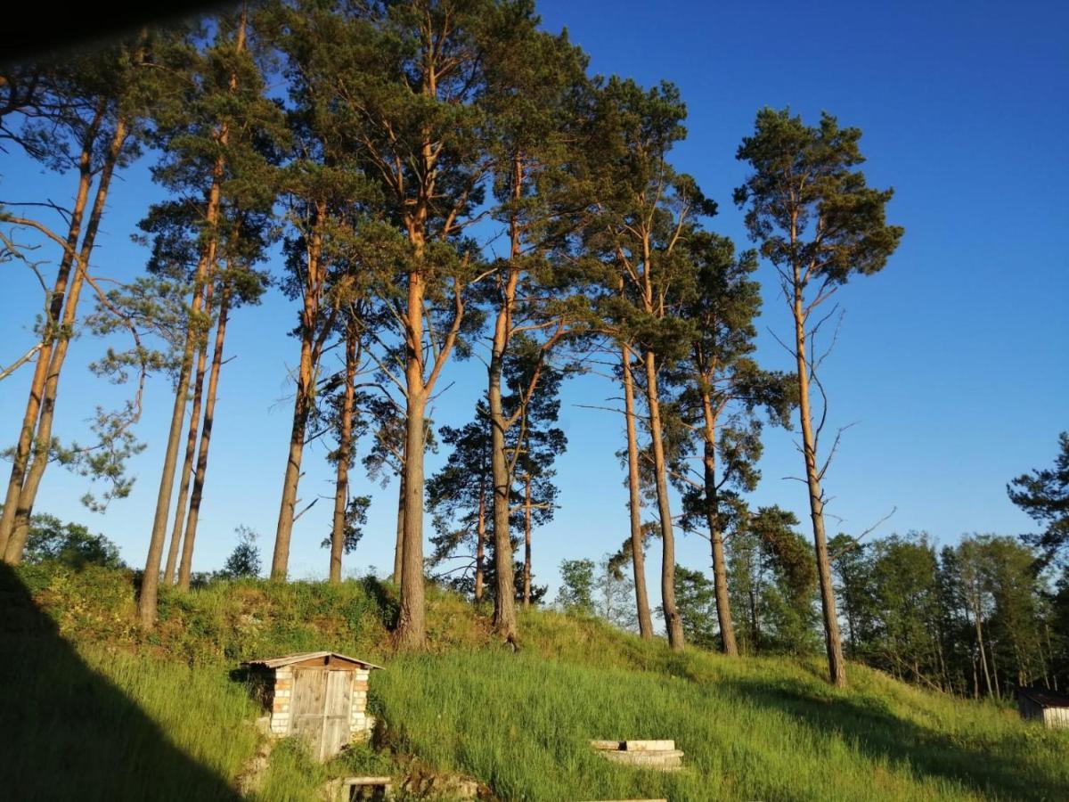ApartmentApšuciems Dış mekan fotoğraf